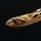 Pituophis melanoleucus. Pine snake head. Exotic pet close up portrait in studio on black background.