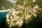 Piva lake view, Montenegro