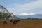 Pivot Irrigation System in a farming field with Longs Peak Mount