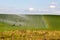 Pivot running in field with rainbow on sunny day