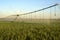 Pivot watering wheat fields