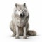Pixar-style White Wolf Sitting In Front Of A White Background