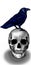 Pixel 8 bit drawn large silhouette raven perched on a skull