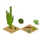 Pixel art cactus tilesets and plants. Vector game