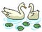 Pixel art couple swan swimming