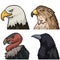 Pixel art falcon bird head