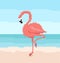 Pixel art flamingo is standing in the water. Sky with clouds on the background.