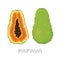 Pixel art game style papaya isolated vector illustration