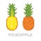 Pixel art game style pineapple isolated vector illustration