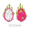 Pixel art game style pitaya isolated vector illustration