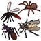 Pixel art isolated dangerous small insect