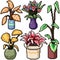 Pixel art isolated plant decoration