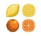 Pixel art orange and lemon icon, vector