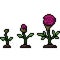 pixel art of rose bloom grow