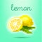 Pixel-art style poster with lemon fruit citrus on light green ba