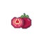 Pixel art tomato icon vector design.