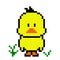 Pixel baby duck image 8 bit