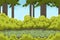 Pixel background with forest and bushes