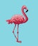 Pixel bird. Pink flamingo isolated on blue background.