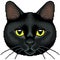 Pixel black cat face isolated vector