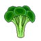 Pixel broccoli vegetable detailed illustration isolated vector