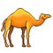 Pixel egypt camel detailed illustration isolated vector