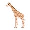 Pixel giraffe isolated on white background. Vector illustration