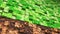 Pixel grass and ground background. 3D Abstract cubes. Video game geometric mosaic waves pattern. Construction of hills landscape