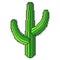 Pixel green desert cactus detailed isolated vector