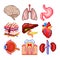 Pixel human body parts icons vector set