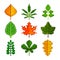 Pixel leaves for games icons vector set