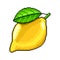 Pixel lemon fruit detailed illustration isolated vector