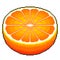 Pixel orange fruit detailed illustration isolated vector
