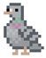 Pixel pigeon - vector, isolated