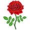 Pixel red rose flower detailed isolated vector