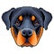 Pixel rottweiler dog face isolated vector