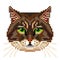 Pixel siberian cat face isolated vector