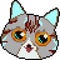 Pixelart Funny Cat