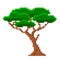 Pixelated lush old tree. Ancient african baobab with green foliage