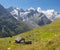 The Piz Bernina and Piz Roseg peaks over the alps meadows