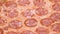 Pizza closeup with salami and cheese mozzarella 4k footage. Slow rotation of pepperoni pizza macro detail