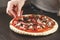 Pizza cooking, meat of chiken, sausage salami, pizza crust, chef prepares delicious pizza, pizza with chicken and