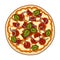 Pizza with meat, cheese and other filling. Different pizza single icon in cartoon style vector symbol stock illustration