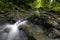 Piâ€™inaâ€™au stream in Keâ€™anae Arboretum, Maui, Hawaii