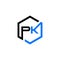 PK letter icon hexagon shape