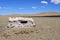 Place of animal sacrifices in the mountains of Tibet on the shore of lake Gomang