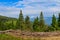 Place of deforestation in the Carpathians, Ukraine