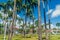 Place des Palmistes square in Cayenne