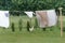 A place for drying linen, sheets and clothes on the street in the courtyard of a village house. The concept of summer