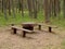 Place for picnic in the pine wood
